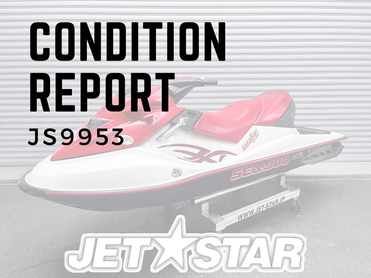 CONDITION REPORT :JS9953
