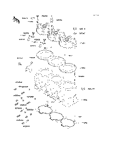Cylinder Head/Cylinder