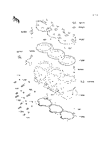 Cylinder Head/Cylinder