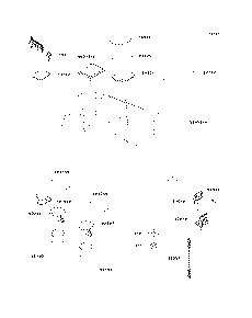 Engine Hood