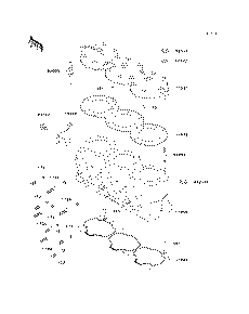 Cylinder Head/Cylinder
