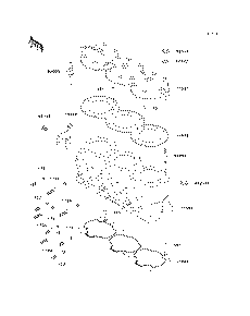 Cylinder Head/Cylinder