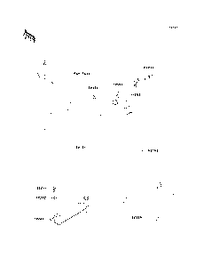 Bilge System