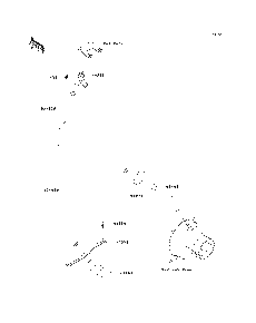 Bilge System