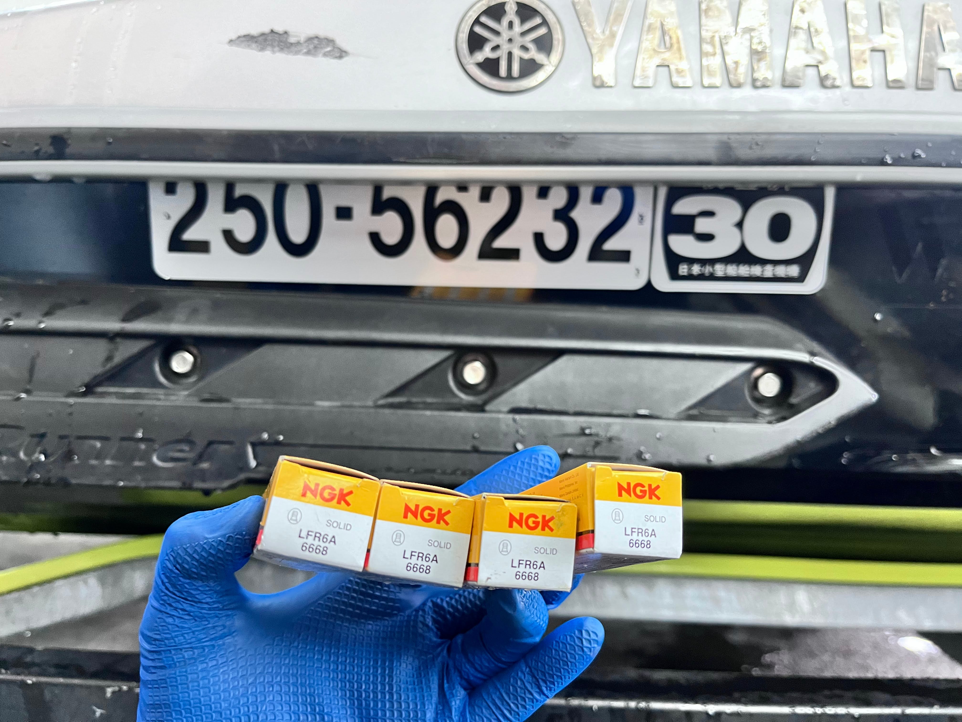 CONDITION REPORT :JY6232