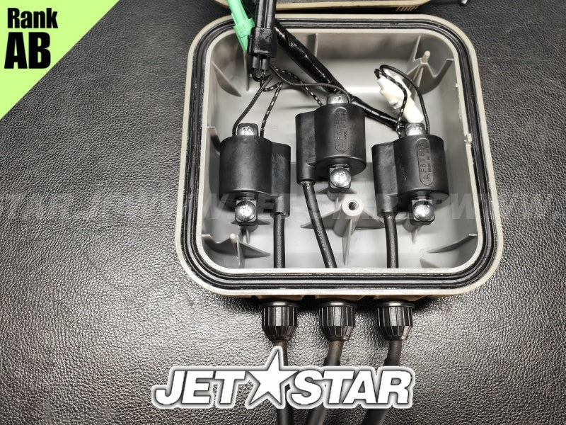 Used 21119-3757 IGNITER [K2839-13]