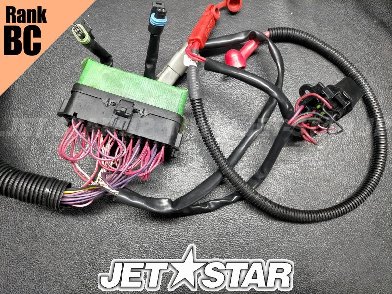 Used 278002161 MAIN HARNESS [S3177-18]
