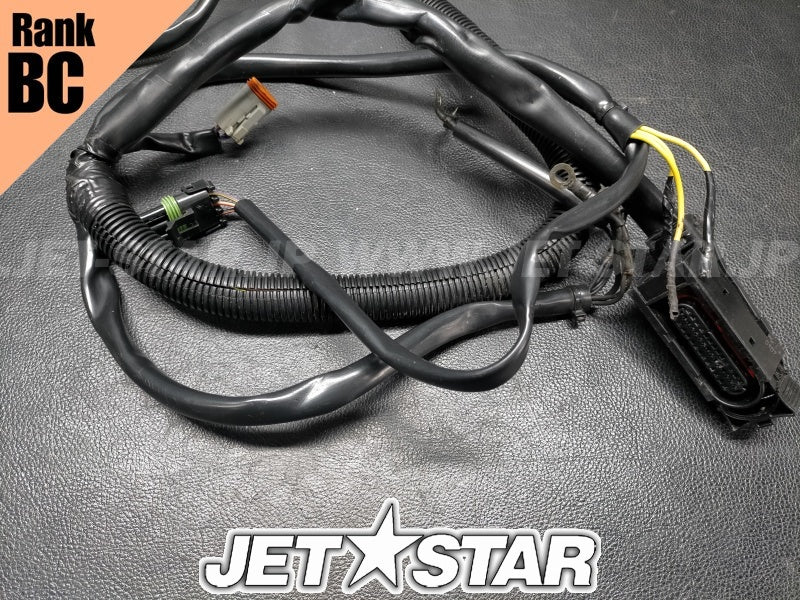 Used 278002161 MAIN HARNESS [S3177-18]