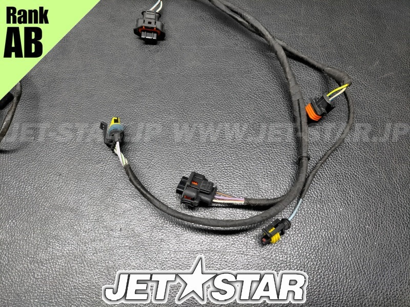 Used 420665205 ENGINE WIRING HARNESS ASS'Y [S3177-26]
