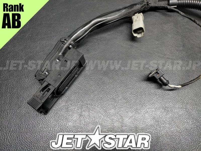 Used 420665205 ENGINE WIRING HARNESS ASS'Y [S3177-26]