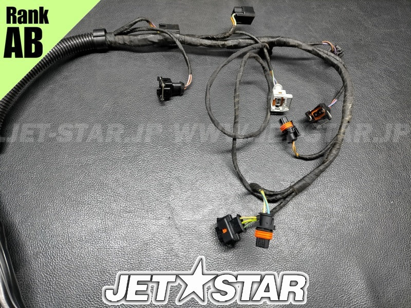 Used 420665205 ENGINE WIRING HARNESS ASS'Y [S3177-26]