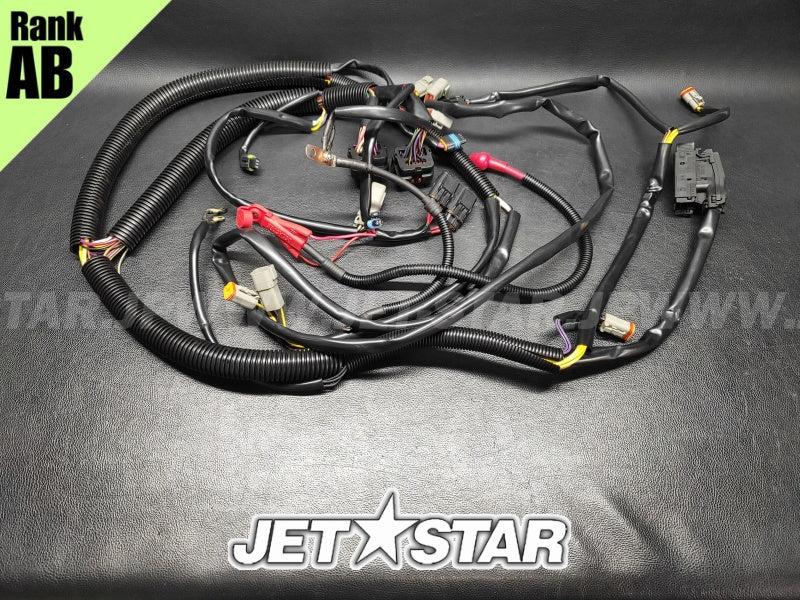Used 278002003 MAIN HARNESS ASS'Y [S5613-19]