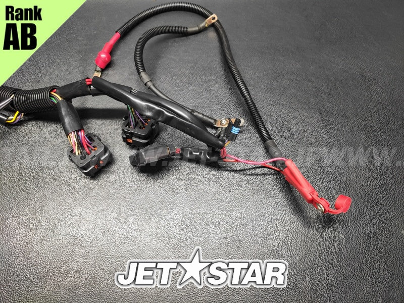 Used 278002003 MAIN HARNESS ASS'Y [S5613-19]
