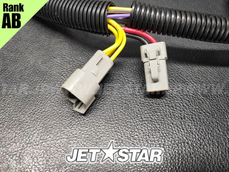 Used 278002003 MAIN HARNESS ASS'Y [S5613-19]