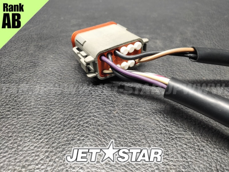 Used 278001600 CLUSTER HARNESS ASS'Y [S5613-21]