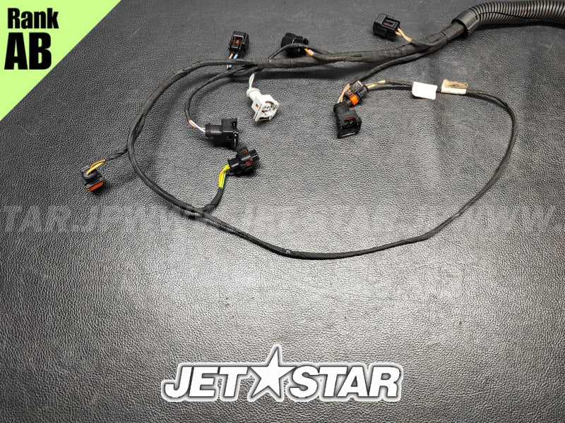 Used 420664951 ENGINE WIRING HARNESS ASS'Y [S5613-29]