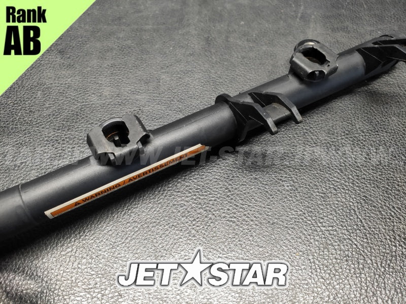 Used 420874394 FUEL RAIL ASS'Y [S8779-04]