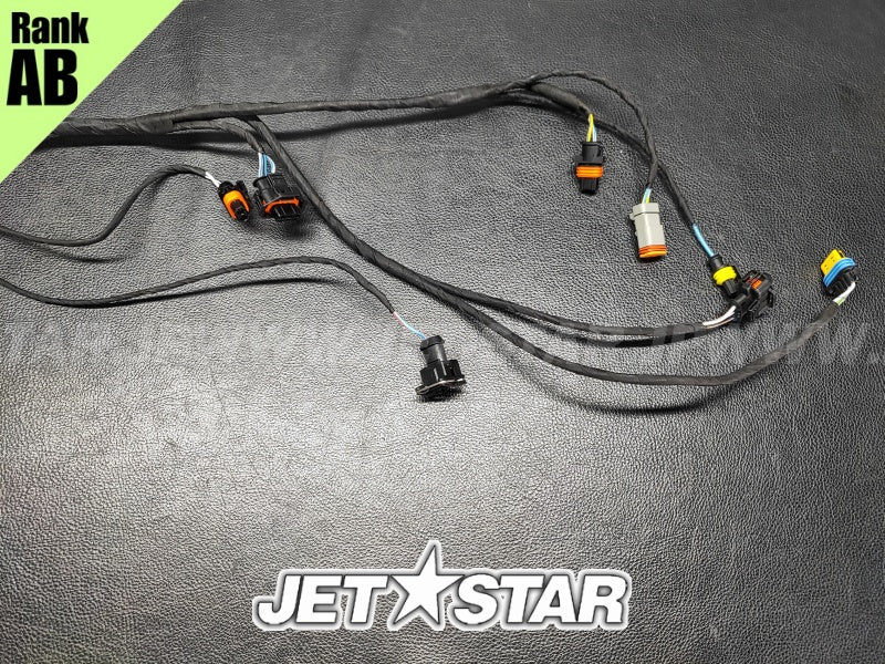Used 420664056 WIRING HARNESS ASS'Y [S8779-22]