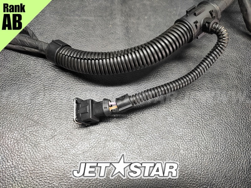 Used 420664056 WIRING HARNESS ASS'Y [S8779-22]