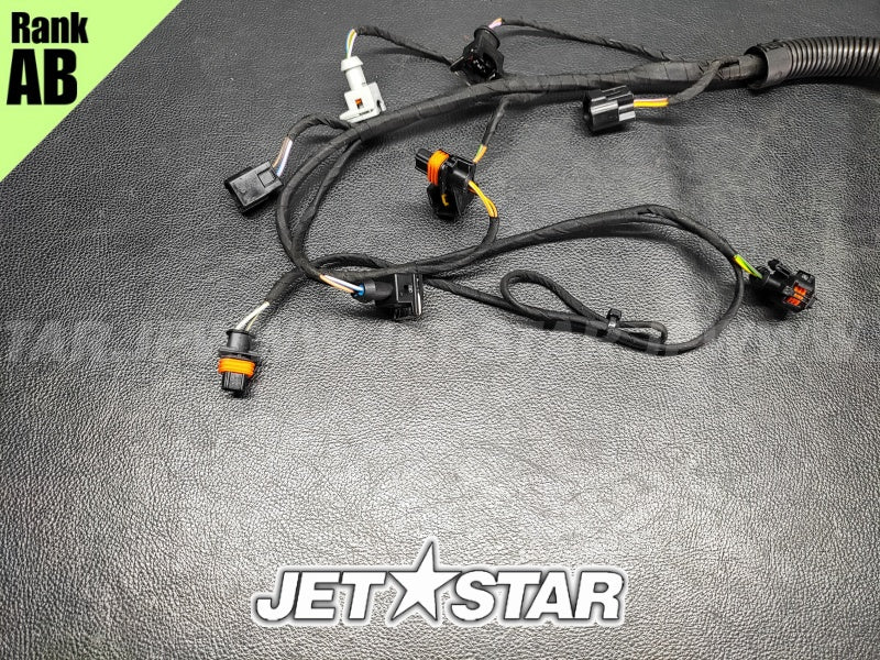 Used 420664056 WIRING HARNESS ASS'Y [S8779-22]