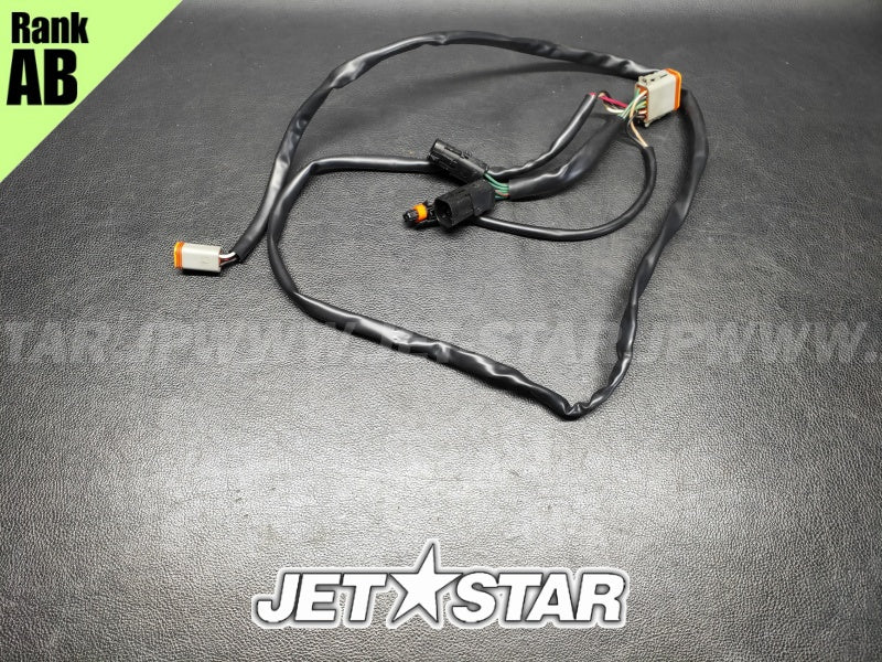Used 278001702 LCD GAUGE HARNESS [S8779-41]
