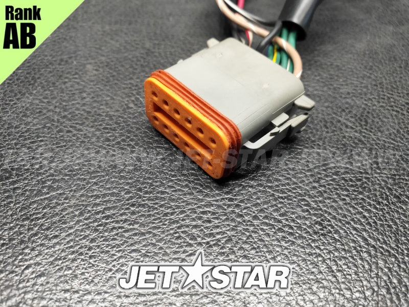 Used 278001702 LCD GAUGE HARNESS [S8779-41]