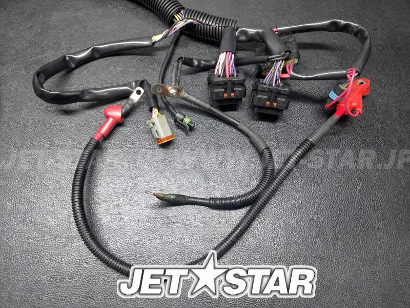 Used 278002003 MAIN HARNESS ASS'Y [S8781-20]
