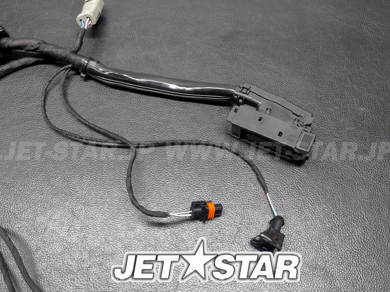 Used 420664056 WIRING HARNESS ASS'Y [S8781-28]