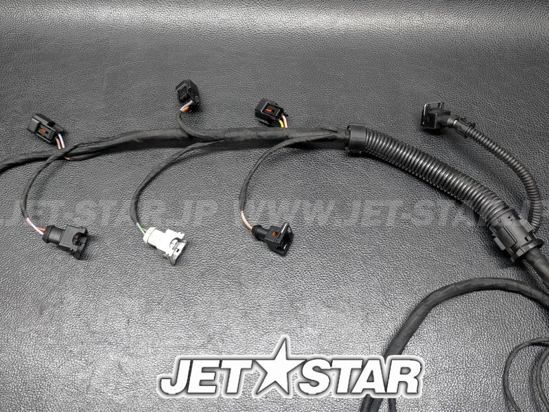 Used 420664056 WIRING HARNESS ASS'Y [S8781-28]