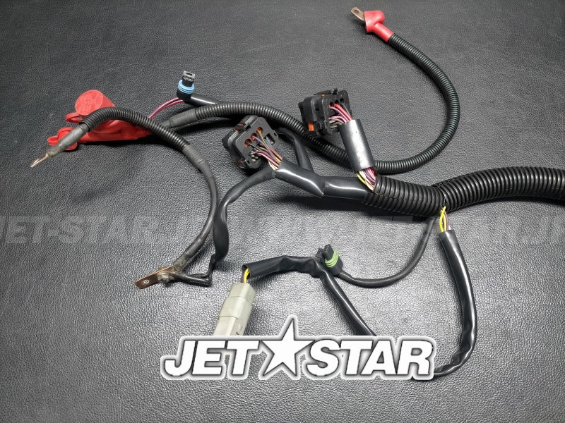 Used 278002119 MAIN HARNESS [S9428-20]