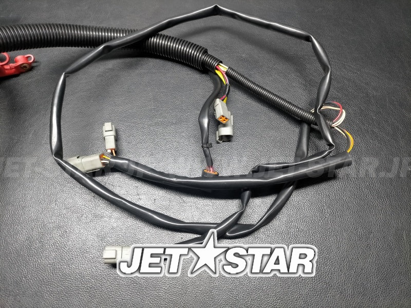 Used 278002119 MAIN HARNESS [S9428-20]