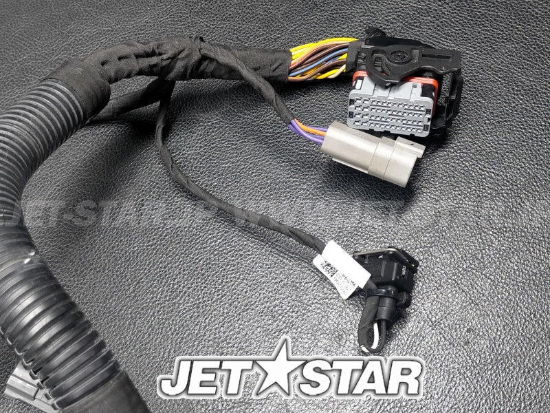 Used 420665206 ENGINE WIRING HARNESS ASS'Y [X222-010]