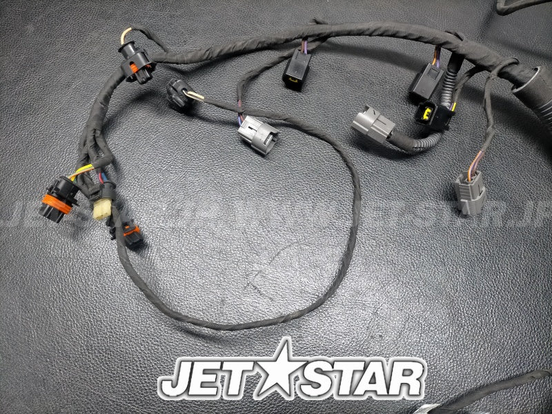 Used 420665206 ENGINE WIRING HARNESS ASS'Y [X222-010]