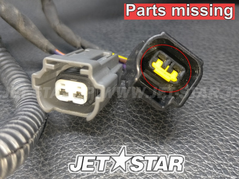 Used 420665206 ENGINE WIRING HARNESS ASS'Y [X222-010]