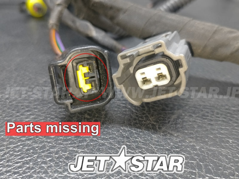 Used 420665206 ENGINE WIRING HARNESS ASS'Y [X222-010]