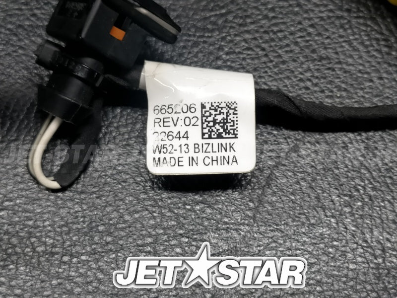 Used 420665206 ENGINE WIRING HARNESS ASS'Y [X222-010]