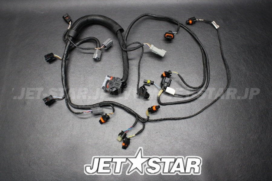Used 420665204 ENGINE WIRING HARNESS ASS'Y [X222-019]