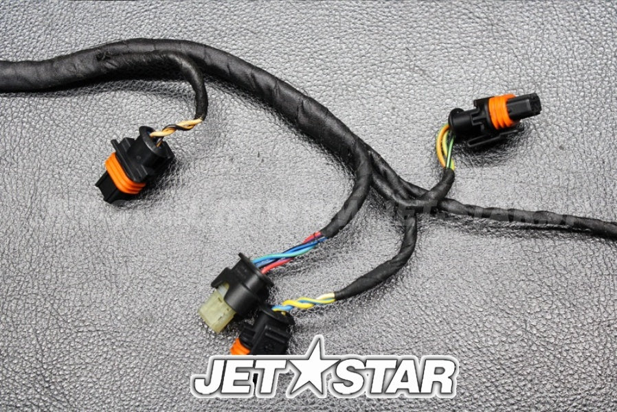 Used 420665204 ENGINE WIRING HARNESS ASS'Y [X222-019]