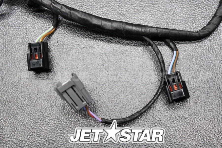 Used 420665204 ENGINE WIRING HARNESS ASS'Y [X222-019]