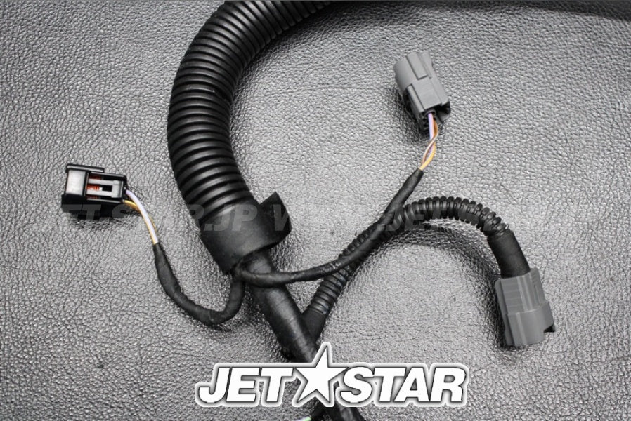 Used 420665204 ENGINE WIRING HARNESS ASS'Y [X222-019]