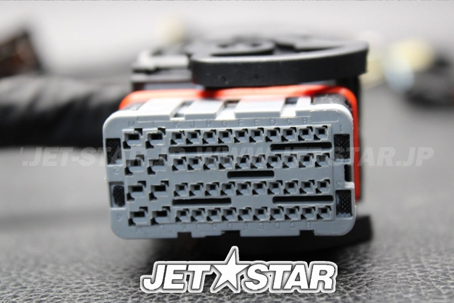 Used 420665204 ENGINE WIRING HARNESS ASS'Y [X222-019]
