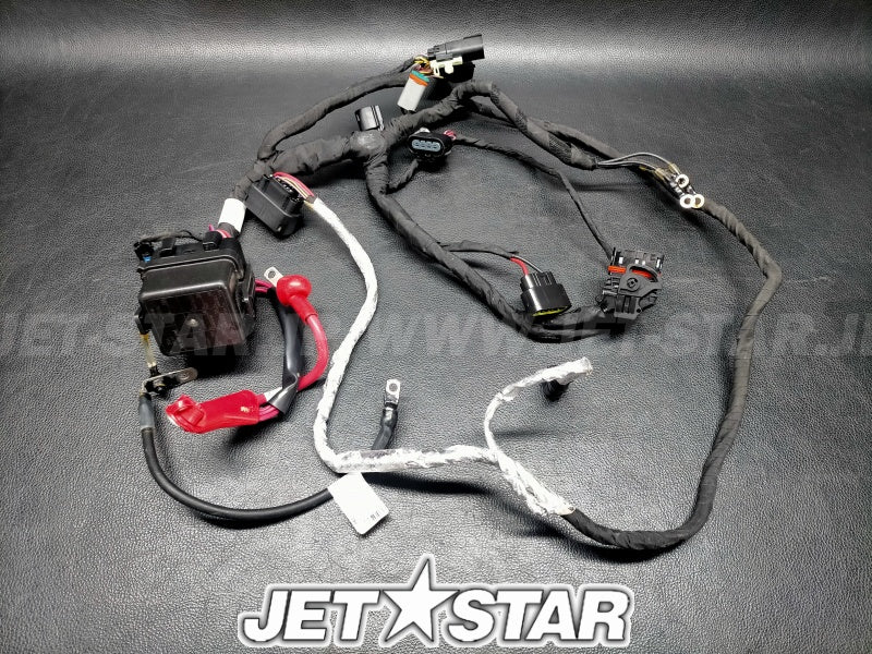 Used 278003783 MAIN WIRING HARNESS [X2308-74]