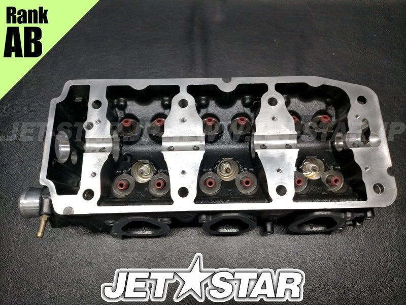 Used 420613978 CYLINDER HEAD ASS'Y [X2311-96]