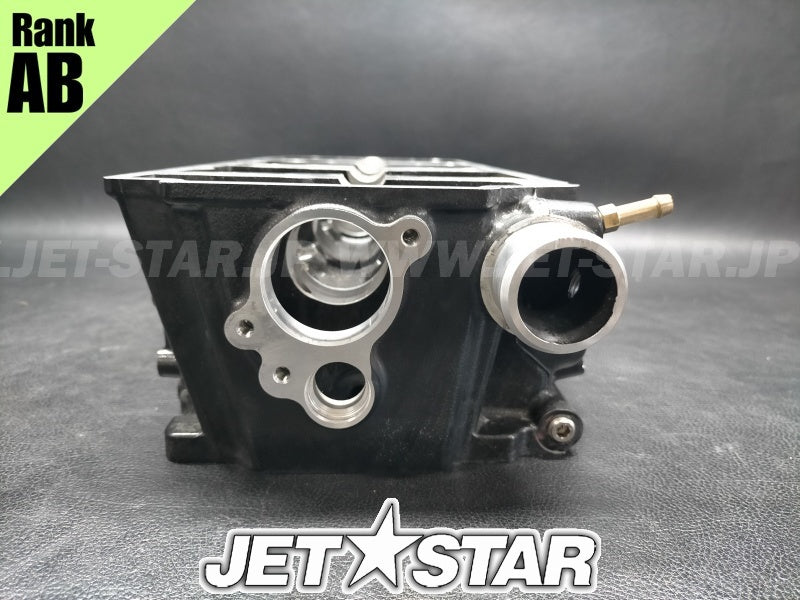 Used 420613978 CYLINDER HEAD ASS'Y [X2311-96]