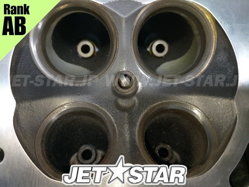 Used 420613978 CYLINDER HEAD ASS'Y [X2311-96]