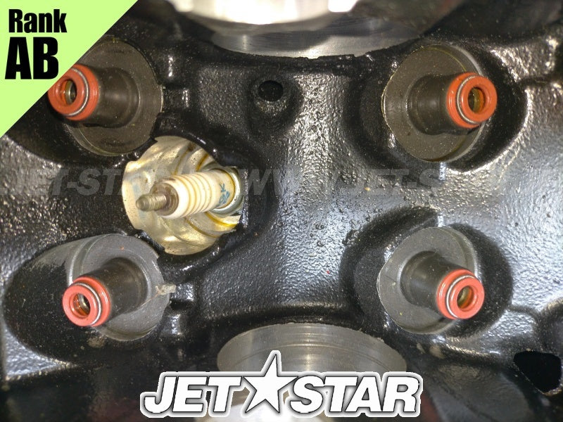 Used 420613978 CYLINDER HEAD ASS'Y [X2311-96]