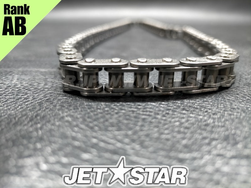 Used 420898042 CAMSHAFT CHAIN [X2311-99]