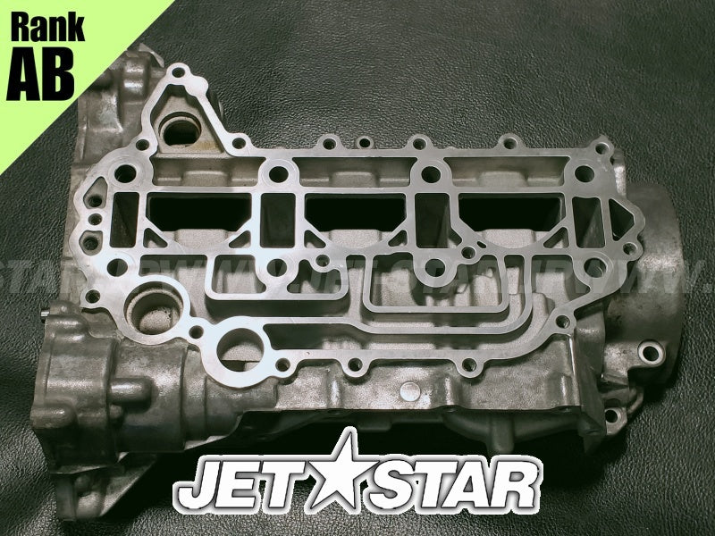 Used 420894026 CRANKCASE ASS'Y [X2401-53]