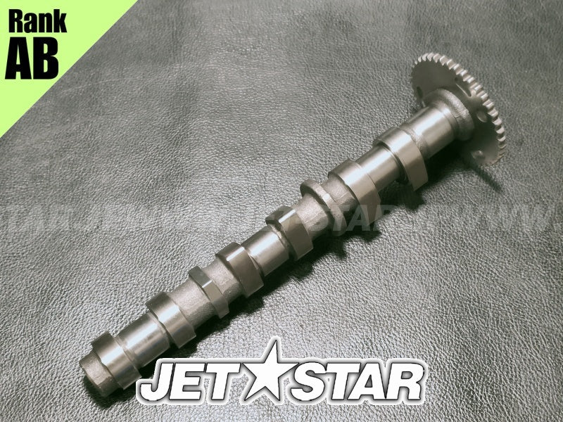 Used 420820200 CAMSHAFT INTAKE [X2401-63]