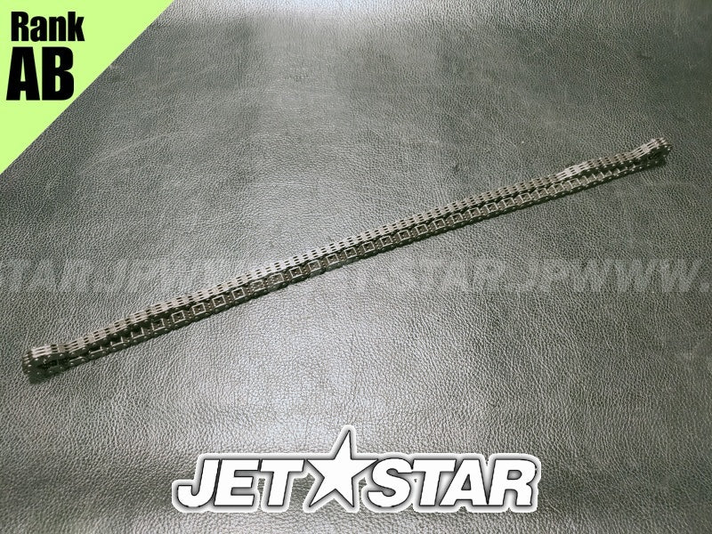 Used 420297086 CAMSHAFT CHAIN [X2401-65]